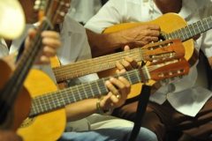 Instrumentos de cuerda pulsada que acompañan al Punto Cubano